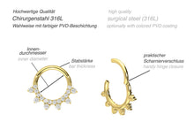 Laden Sie das Bild in den Galerie-Viewer, 6 Spitzen Kristall Clicker Ring piercinginspiration®
