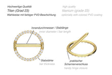 Laden Sie das Bild in den Galerie-Viewer, Titan Nippel Ring Clicker Eingefasste Kristalle piercinginspiration®