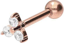Laden Sie das Bild in den Galerie-Viewer, 3 Kristalle Blume Ohrpiercing piercinginspiration®