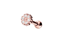 Laden Sie das Bild in den Galerie-Viewer, Kleeblätter Blume 5 Kristalle Kugeln Ohrpiercing Barbell piercinginspiration®