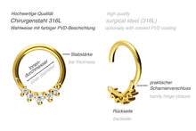 Laden Sie das Bild in den Galerie-Viewer, 5 Kleine Eingefasste Kristalle Clicker Ring piercinginspiration®