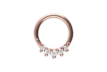 Laden Sie das Bild in den Galerie-Viewer, 5 Kleine Eingefasste Kristalle Clicker Ring piercinginspiration®