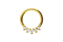 Laden Sie das Bild in den Galerie-Viewer, 5 Kleine Eingefasste Kristalle Clicker Ring piercinginspiration®