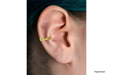 Laden Sie das Bild in den Galerie-Viewer, Blätterkranz Clicker Ring piercinginspiration®