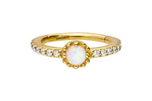 Laden Sie das Bild in den Galerie-Viewer, Multiple Eingefasste Kristalle Opal Clicker Ring piercinginspiration®