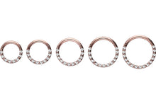Laden Sie das Bild in den Galerie-Viewer, Clicker Ring 14 Epoxy Kristalle Segmentring piercinginspiration®