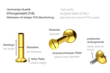 Laden Sie das Bild in den Galerie-Viewer, Titan Mini Kristall Rund Labret Innengewinde Flache Disc Ohrpiercing piercinginspiration®