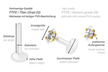 Laden Sie das Bild in den Galerie-Viewer, Titan PTFE Kristall Oval Tropfen Labret Ohrpiercing piercinginspiration®