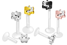Laden Sie das Bild in den Galerie-Viewer, Titan PTFE Innengewinde Labret Kristalle Hund Pfote Barbell Ohrpiercing piercinginspiration®