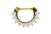 Laden Sie das Bild in den Galerie-Viewer, Titan 10 Kristalle Septum Daith Clicker Ring piercinginspiration®