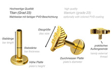 Laden Sie das Bild in den Galerie-Viewer, Titan Blatt Innengewinde Labret Ohrpiercing piercinginspiration®