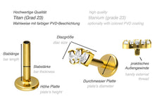 Laden Sie das Bild in den Galerie-Viewer, Titan 3 Kristalle Tropfen Innengewinde Labret Ohrpiercing piercinginspiration®