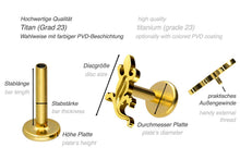 Laden Sie das Bild in den Galerie-Viewer, Titan Innengewinde Labret Gecko Salamander Ohrpiercing piercinginspiration®