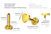 Laden Sie das Bild in den Galerie-Viewer, Titan Innengewinde Labret Herz Ohrpiercing piercinginspiration®