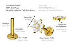 Laden Sie das Bild in den Galerie-Viewer, Titan Blume Innengewinde Labret Kristallblume Ohrpiercing piercinginspiration®