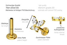Laden Sie das Bild in den Galerie-Viewer, Titan Innengewinde Labret 4 Kristalle Schmetterling Ohrpiercing piercinginspiration®