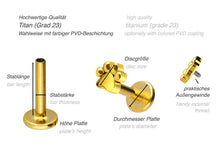 Laden Sie das Bild in den Galerie-Viewer, Titan Innengewinde Labret Hundepfote Pfote Barbell Ohrpiercing piercinginspiration®