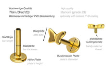 Laden Sie das Bild in den Galerie-Viewer, Titan Innengewinde Labret Schmetterling Ohrpiercing piercinginspiration®