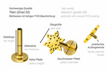 Laden Sie das Bild in den Galerie-Viewer, Titan Innengewinde Labret Schneeflocke Barbell Innengewinde Ohrpiercing piercinginspiration®
