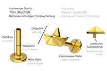 Laden Sie das Bild in den Galerie-Viewer, Titan Papier Schiff Innengewinde Labret Ohrpiercing piercinginspiration®