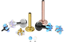 Laden Sie das Bild in den Galerie-Viewer, Titan Stern Opal Labret Innengewinde Ohrpiercing piercinginspiration®