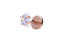 Laden Sie das Bild in den Galerie-Viewer, Titan Stern Opal Labret Innengewinde Ohrpiercing piercinginspiration®