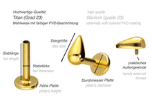 Laden Sie das Bild in den Galerie-Viewer, Titan Tropfen Innengewinde Labret Kristall Barbell Innengewinde Ohrpiercing piercinginspiration®