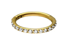 Laden Sie das Bild in den Galerie-Viewer, Titan Clicker Ring Multiple Kristalle piercinginspiration®