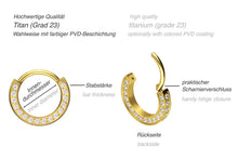 Laden Sie das Bild in den Galerie-Viewer, Titan 3D Multiple Eingefasste Kristalle Clicker Ring piercinginspiration®