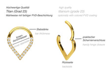 Laden Sie das Bild in den Galerie-Viewer, Titan Spitz Clicker Ring 16 Eingefasste Kristalle piercinginspiration®